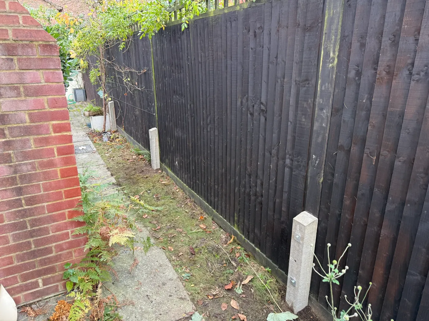 Fence repair in Farnham, Surrey