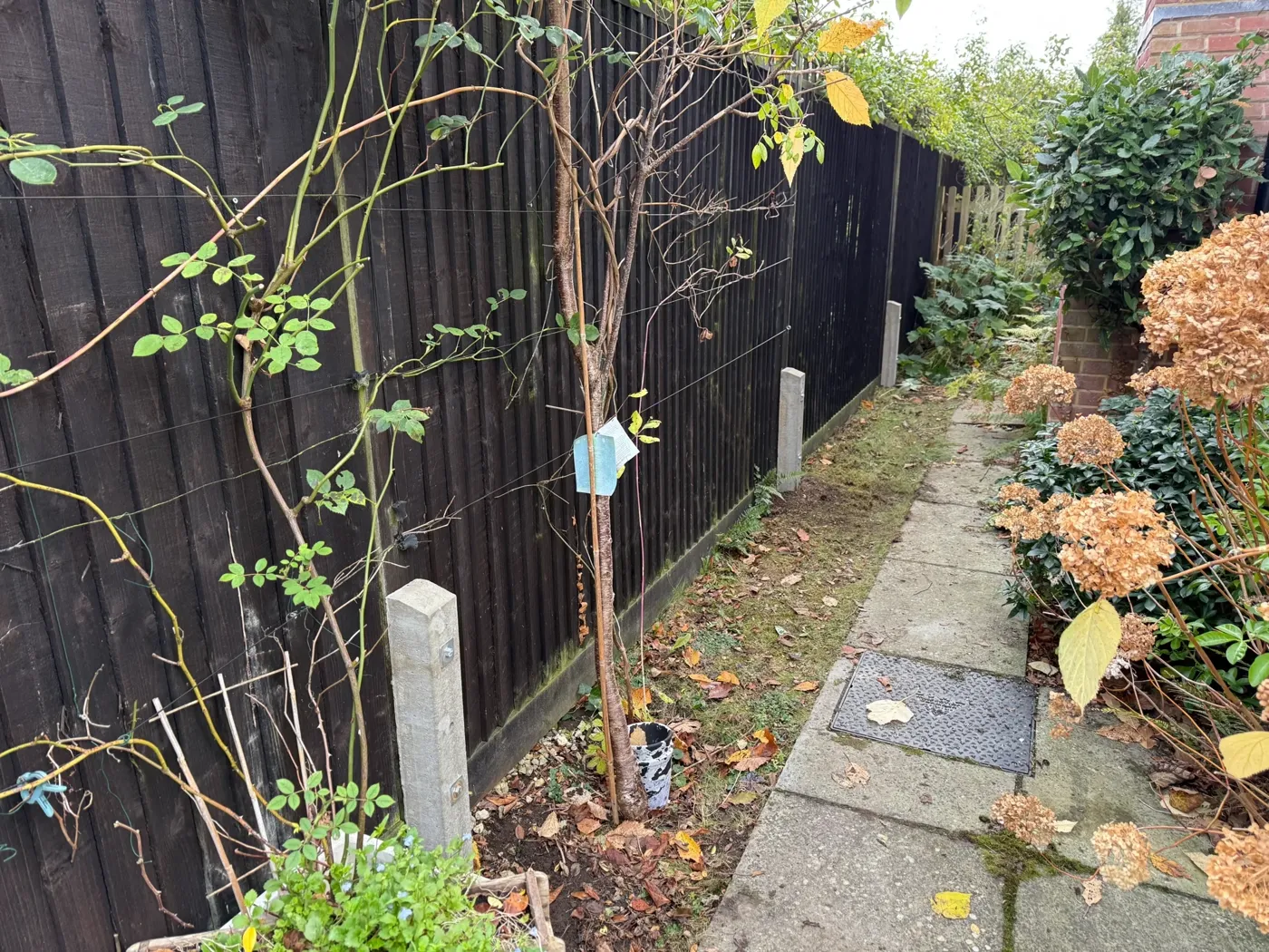 Fence repair work underway in Farnham, Surrey