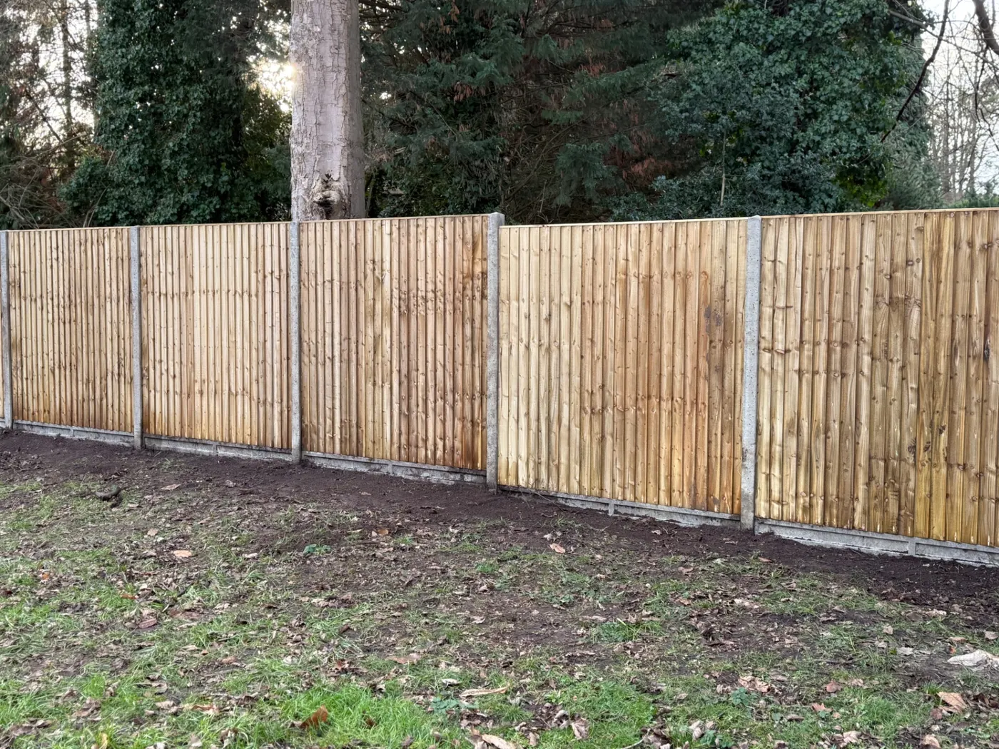 Feather edge fence line installed at the edge of woodland near Farnham