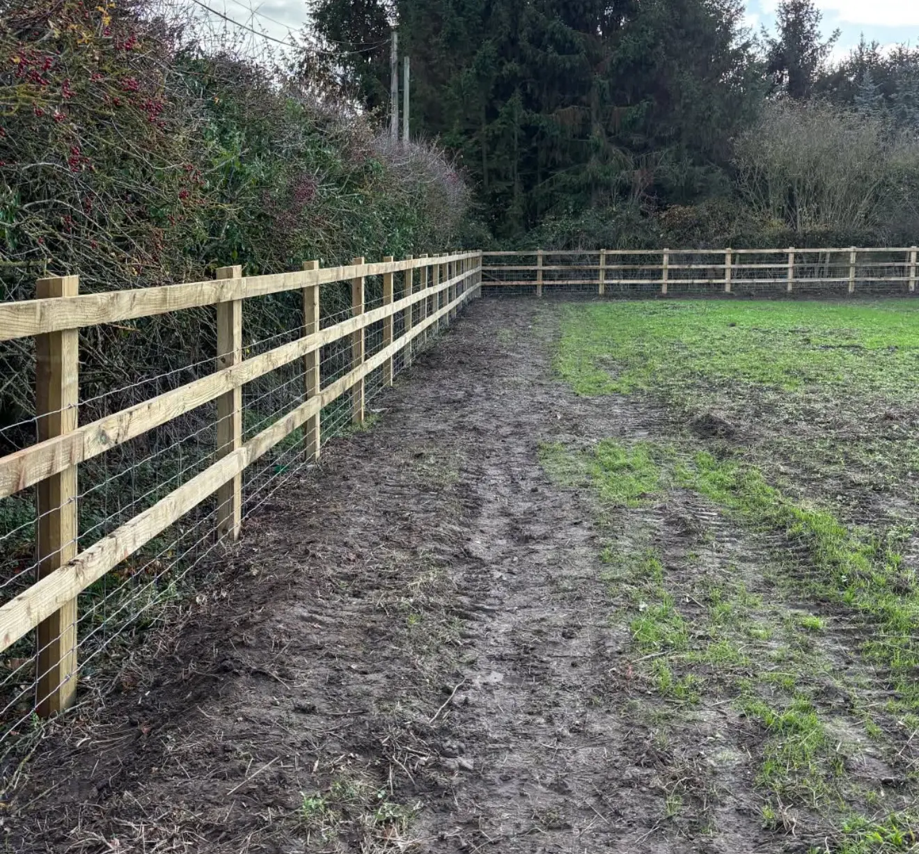 Agricultural post and rail fencing near Farnham