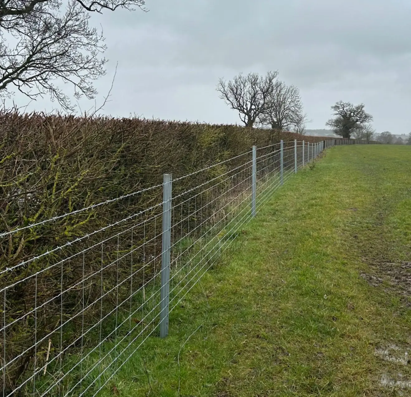 Field boundary fencing in Surrey