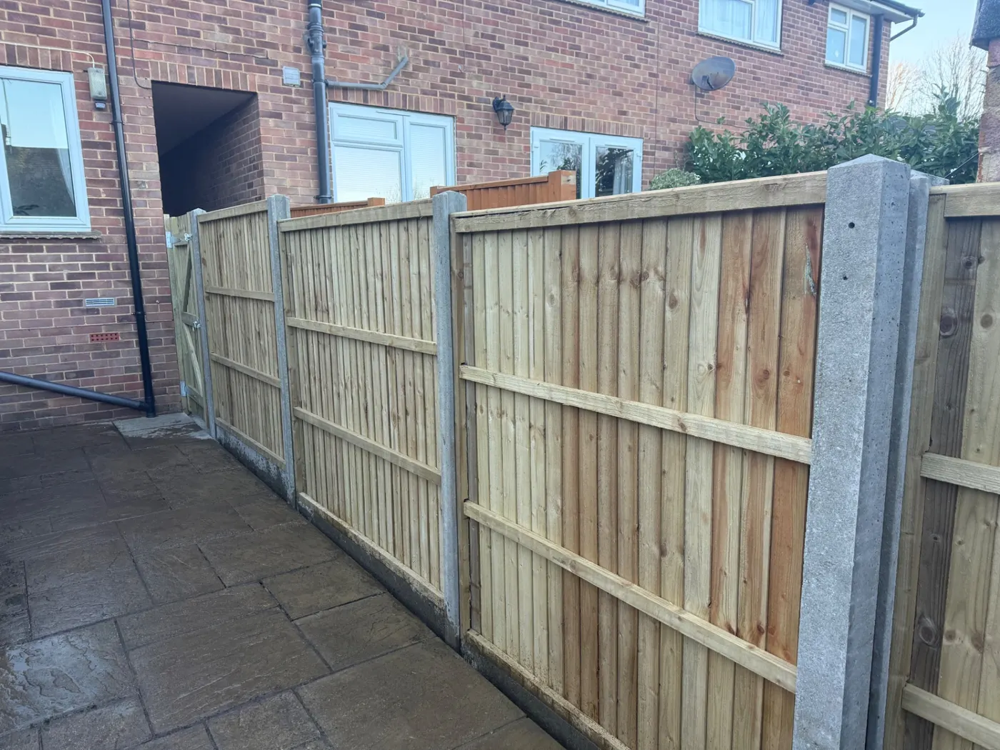 Closeboard fence panels and side gate along a Farnham driveway