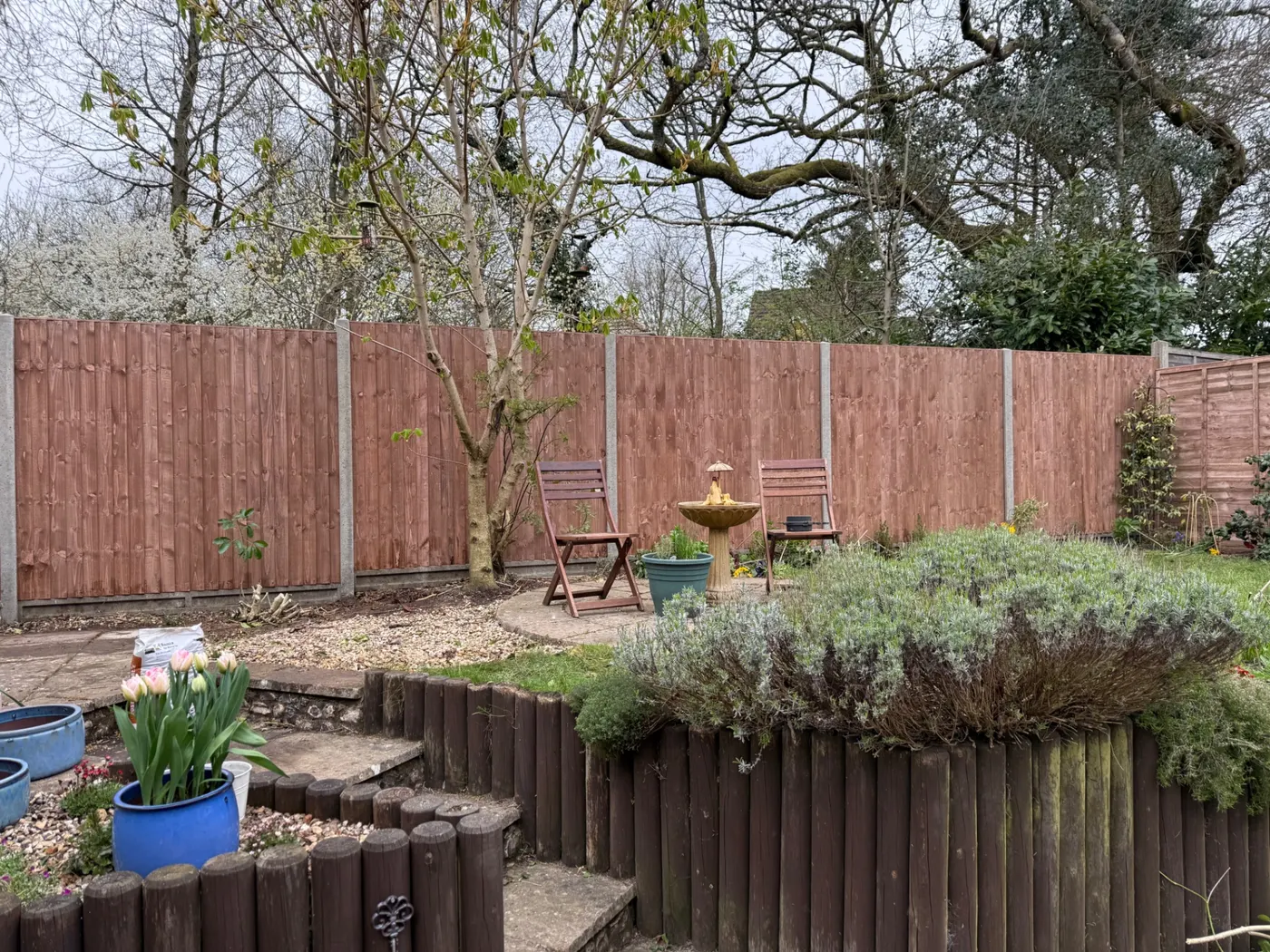 Replacement garden fence panels around a landscaped Farnham garden