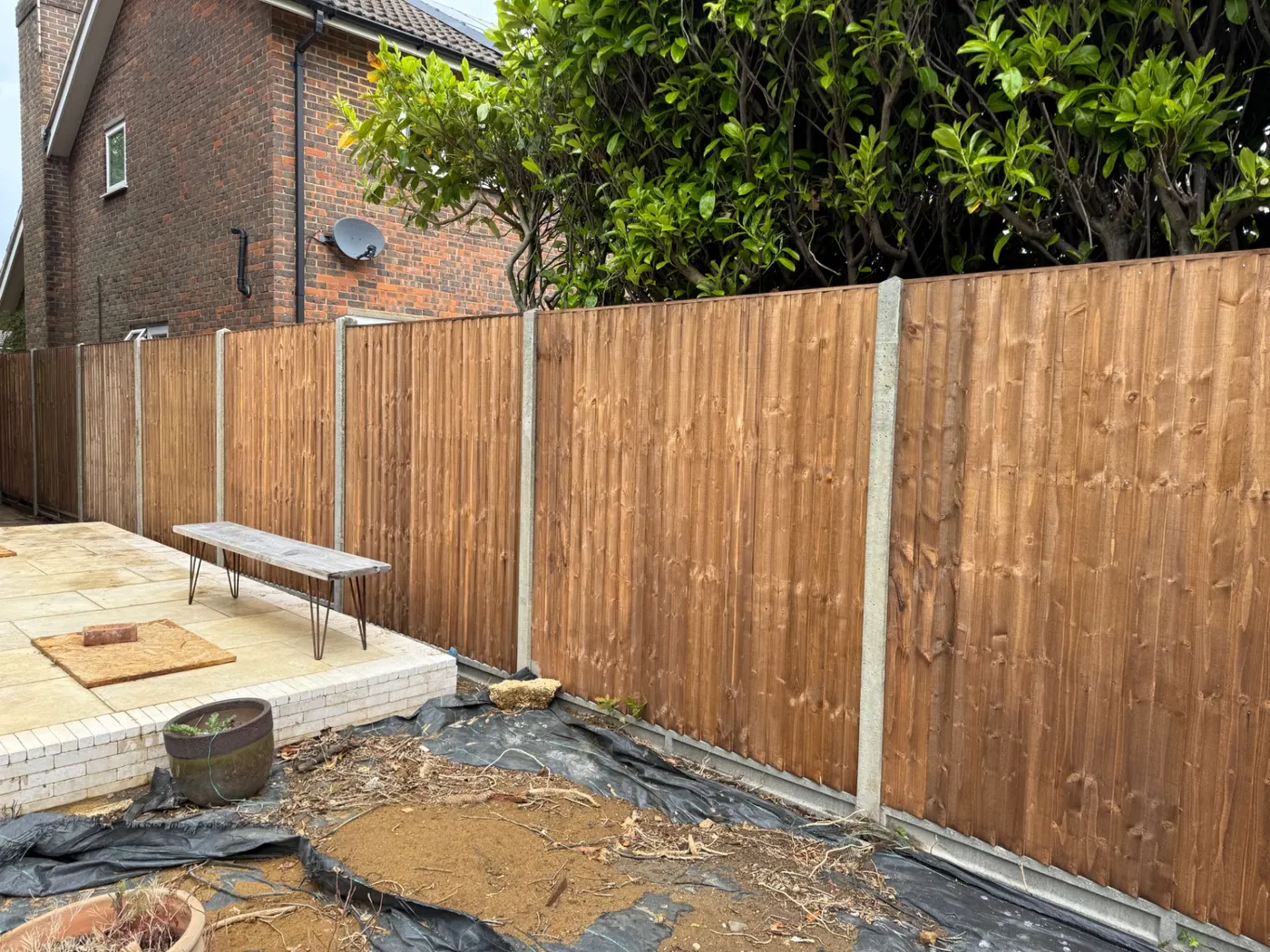 Feather edge fence panels with concrete posts in a Farnham garden